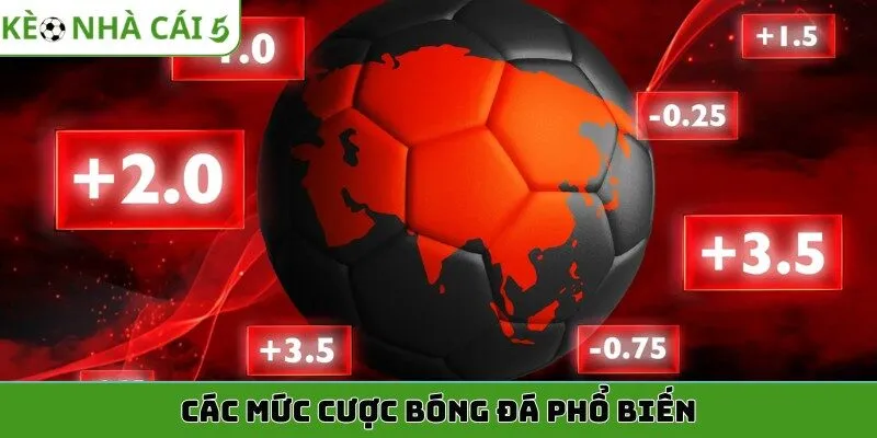 cac muc cuoc bong da pho bien