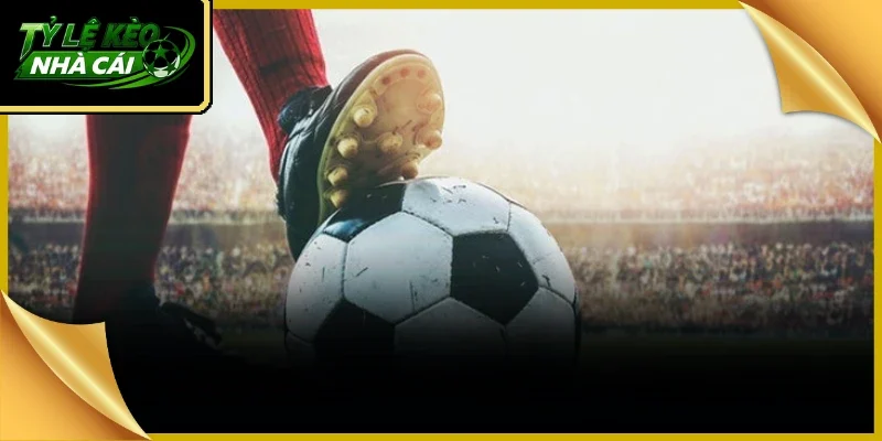 soi keo nha cai giao dien cung cap thong tin phan tich ty le cuoc bong da vo cung hien dai soi keo nha cai giao dien cung cap thong tin phan tich ty le cuoc bong da vo cung hien dai
