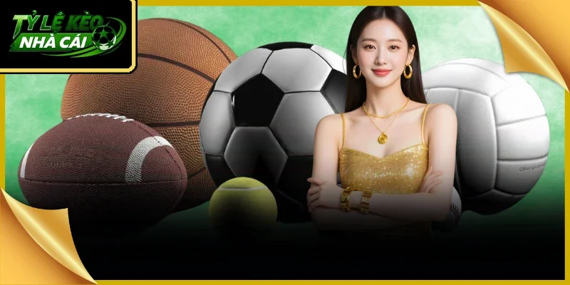 tylekeonhacai thuong hieu phan tich ty le cuoc bong da so huu 5 trieu nguoi theo doi